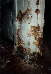 Photo of dry rot